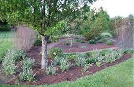 Memorial Garden